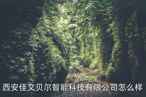 貝爾智能科技怎么樣，貝爾機(jī)器人怎么樣有誰(shuí)用過(guò)嗎