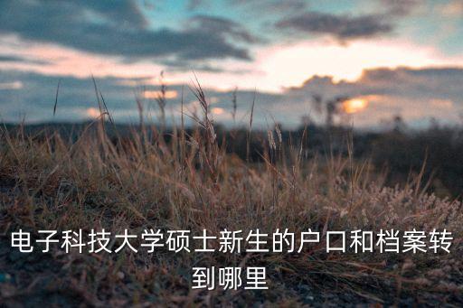 電子科技大學(xué)碩士新生的戶口和檔案轉(zhuǎn)到哪里