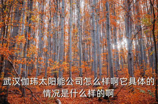 伽睿智能科技集團(tuán)公司如何，武漢伽瑋太陽(yáng)能公司怎么樣啊它具體的情況是什么樣的啊