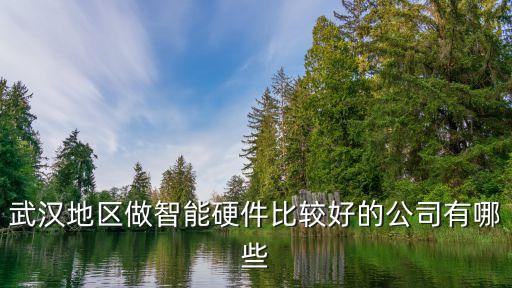武漢地區(qū)做智能硬件比較好的公司有哪些