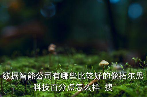 數(shù)字智能科技分公司如何，遼寧新天數(shù)字科技有限公司沈陽分公司怎么樣