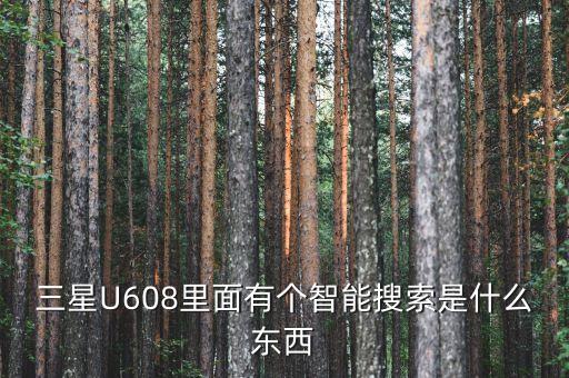 三星U608里面有個(gè)智能搜索是什么東西
