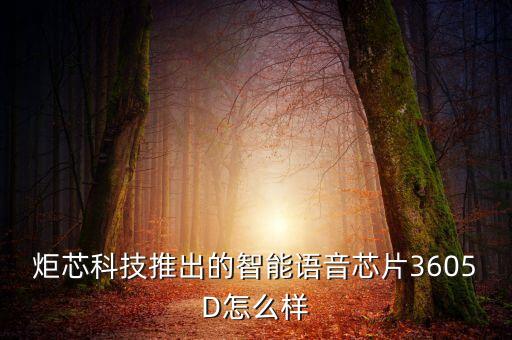 祺芯智能科技蘇州怎么樣，炬芯科技推出的智能語音芯片3605D怎么樣