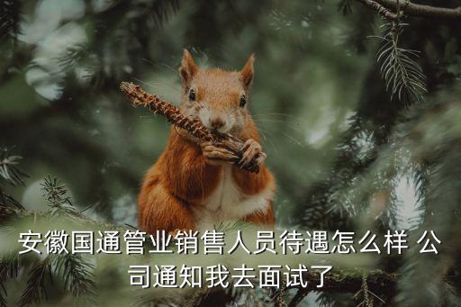 國通智能科技待遇如何，福建國通信息科技有限公司這家公司如何綜合的給個評價包括