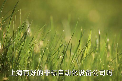 上海有好的非標自動化設備公司嗎
