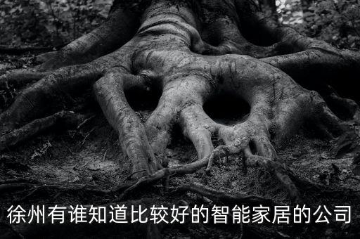 徐州有誰知道比較好的智能家居的公司