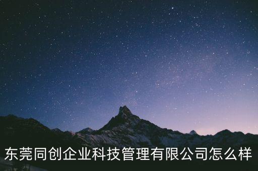 東莞同創(chuàng)企業(yè)科技管理有限公司怎么樣