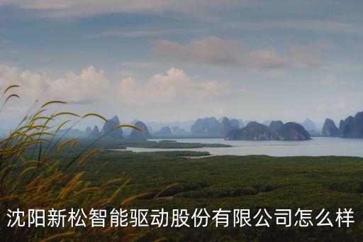 沈陽新松智能驅(qū)動(dòng)股份有限公司怎么樣