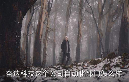 奮達(dá)科技智能家居怎么樣，奮達(dá)科技這個(gè)公司自動(dòng)化部門怎么樣