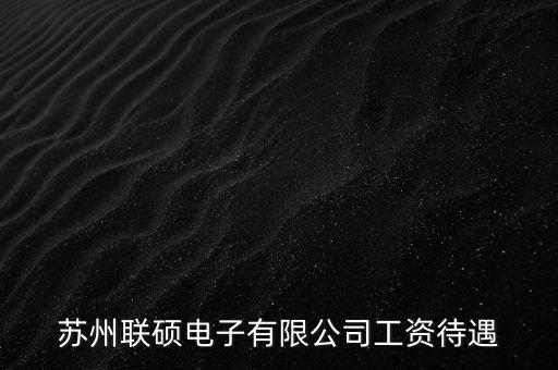 蘇州聯(lián)碩電子有限公司工資待遇