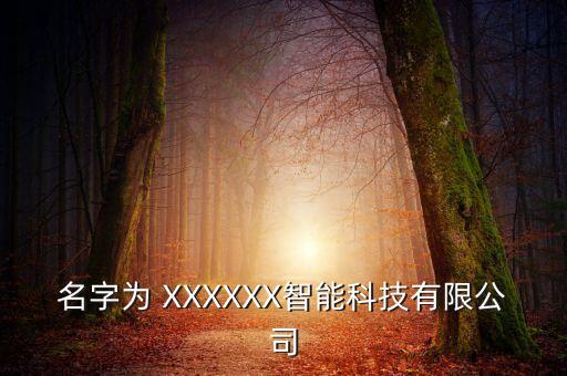 名字為 XXXXXX智能科技有限公司