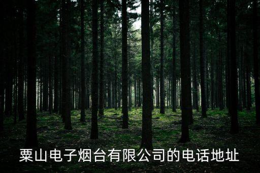 粟山電子煙臺(tái)有限公司的電話地址