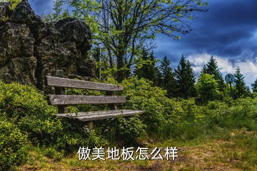 傲美地板怎么樣