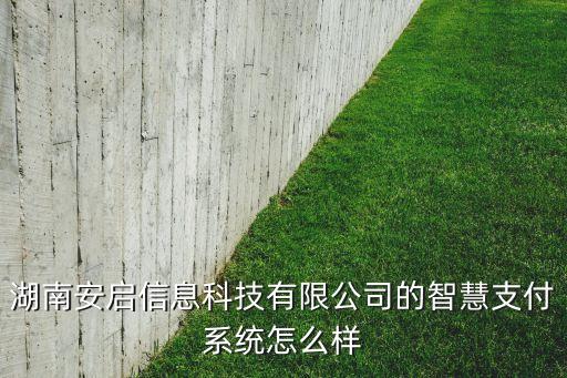 湖南安啟信息科技有限公司的智慧支付系統(tǒng)怎么樣
