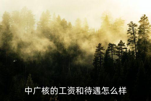 中廣核智能科技薪資多少，中廣核的工資和待遇怎么樣