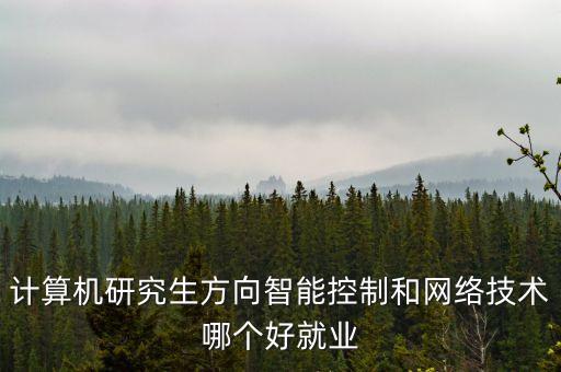 計算機研究生方向智能控制和網(wǎng)絡(luò)技術(shù)哪個好就業(yè)