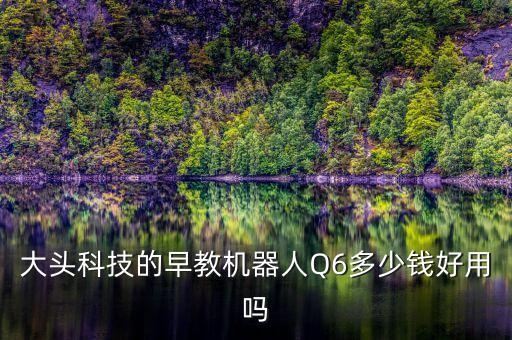 大頭科技的早教機(jī)器人Q6多少錢好用嗎