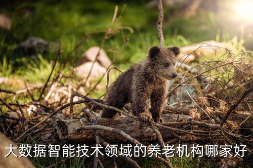 大數(shù)據(jù)智能技術領域的養(yǎng)老機構(gòu)哪家好