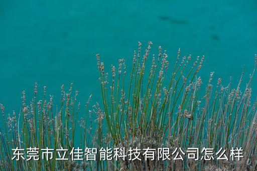 東莞市立佳智能科技有限公司怎么樣