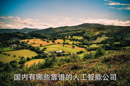 國內(nèi)有哪些靠譜的人工智能公司