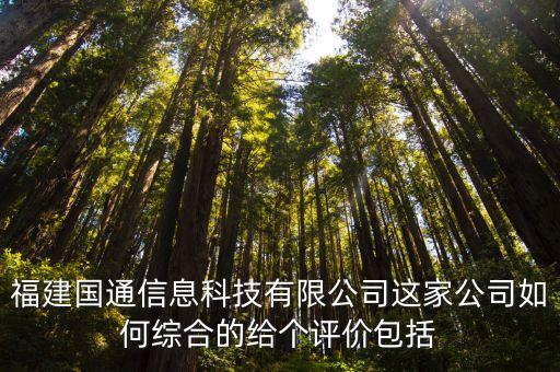 福建國通信息科技有限公司這家公司如何綜合的給個(gè)評價(jià)包括