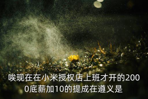 小米智能黑科技店鋪怎么樣，唉現(xiàn)在在小米授權(quán)店上班才開的2000底薪加10的提成在遵義是