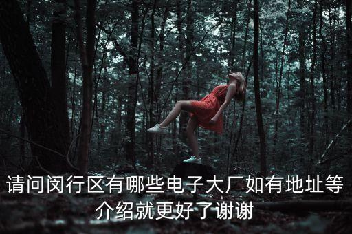 請(qǐng)問(wèn)閔行區(qū)有哪些電子大廠如有地址等介紹就更好了謝謝