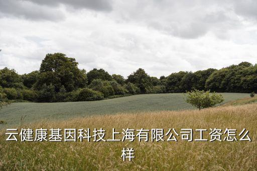 云基智能科技待遇怎么樣，云健康基因科技上海有限公司工資怎么樣