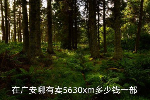 在廣安哪有賣5630xm多少錢(qián)一部