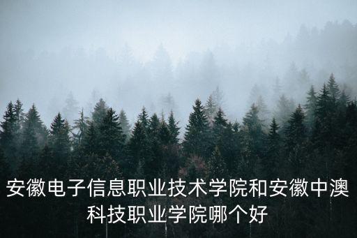 安徽電子信息職業(yè)技術(shù)學(xué)院和安徽中澳科技職業(yè)學(xué)院哪個(gè)好