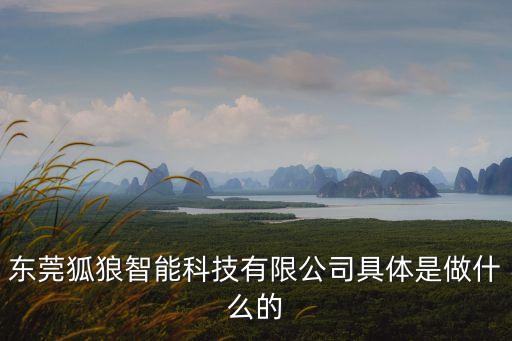 東莞狐狼智能科技有限公司具體是做什么的