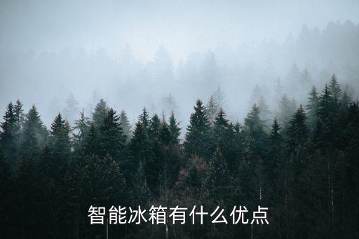 智能冰箱有什么優(yōu)點
