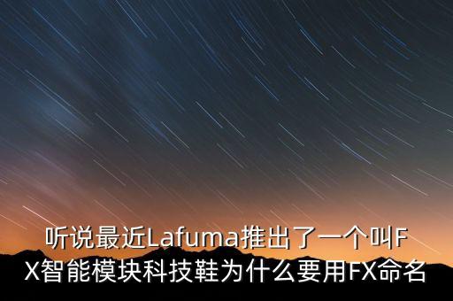 聽說最近Lafuma推出了一個叫FX智能模塊科技鞋為什么要用FX命名