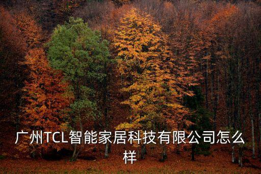 廣州TCL智能家居科技有限公司怎么樣