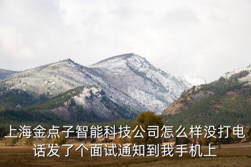 上海金點子智能科技公司怎么樣沒打電話發(fā)了個面試通知到我手機上