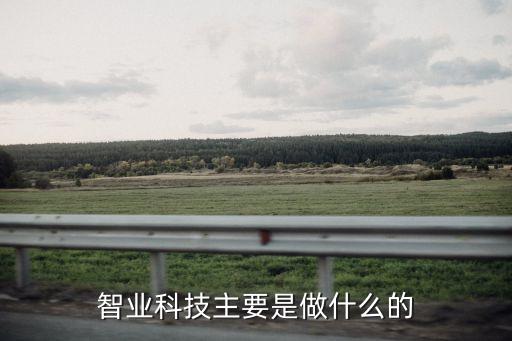 智業(yè)科技主要是做什么的