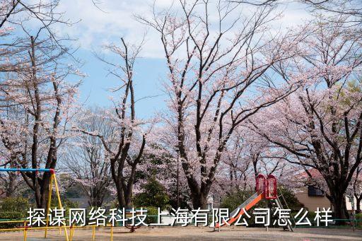 探謀網(wǎng)絡(luò)科技上海有限公司怎么樣