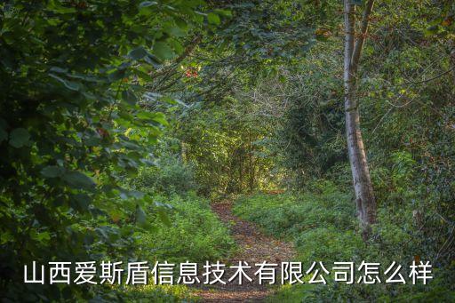 山西愛斯盾信息技術(shù)有限公司怎么樣