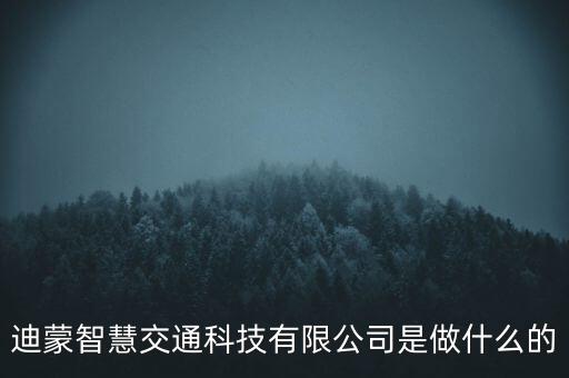 迪蒙智慧交通科技有限公司是做什么的