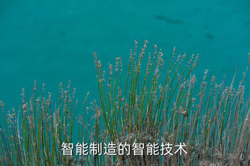 智能制造的智能技術