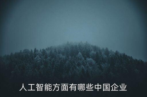 人工智能方面有哪些中國企業(yè)