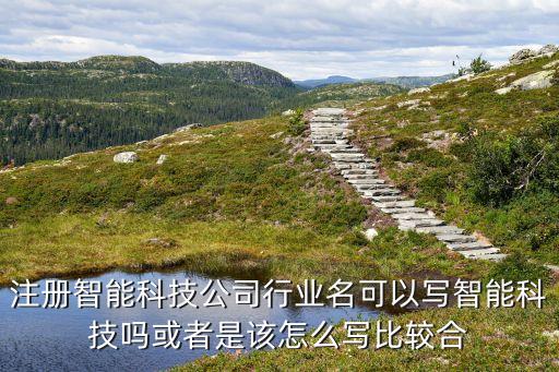 注冊智能科技公司行業(yè)名可以寫智能科技嗎或者是該怎么寫比較合