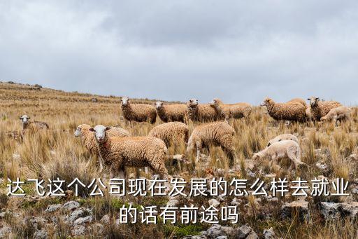 達(dá)飛這個(gè)公司現(xiàn)在發(fā)展的怎么樣去就業(yè)的話有前途嗎