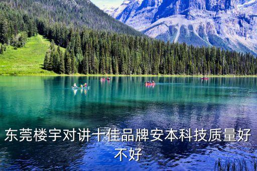 東莞安洋智能科技怎么樣，有誰(shuí)知道安得智聯(lián)技術(shù)實(shí)力怎么樣