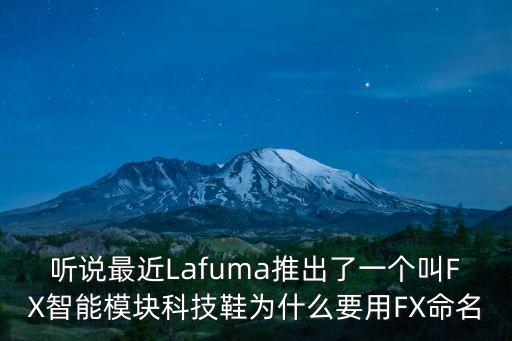 聽說最近Lafuma推出了一個(gè)叫FX智能模塊科技鞋為什么要用FX命名