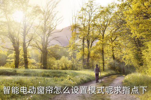 智能電動(dòng)窗簾怎么設(shè)置模式呢求指點(diǎn)下