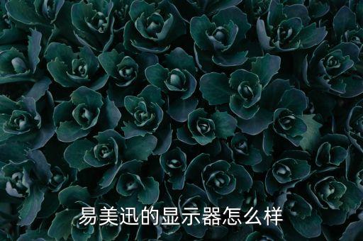 易美迅的顯示器怎么樣