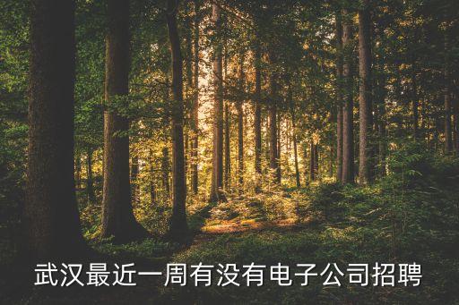 寶立智能科技招聘電話多少，武漢最近一周有沒有電子公司招聘