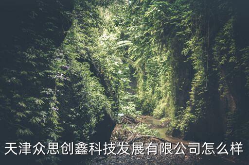 天津眾思創(chuàng)鑫科技發(fā)展有限公司怎么樣