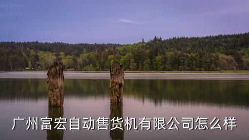 廣州富宏自動售貨機有限公司怎么樣